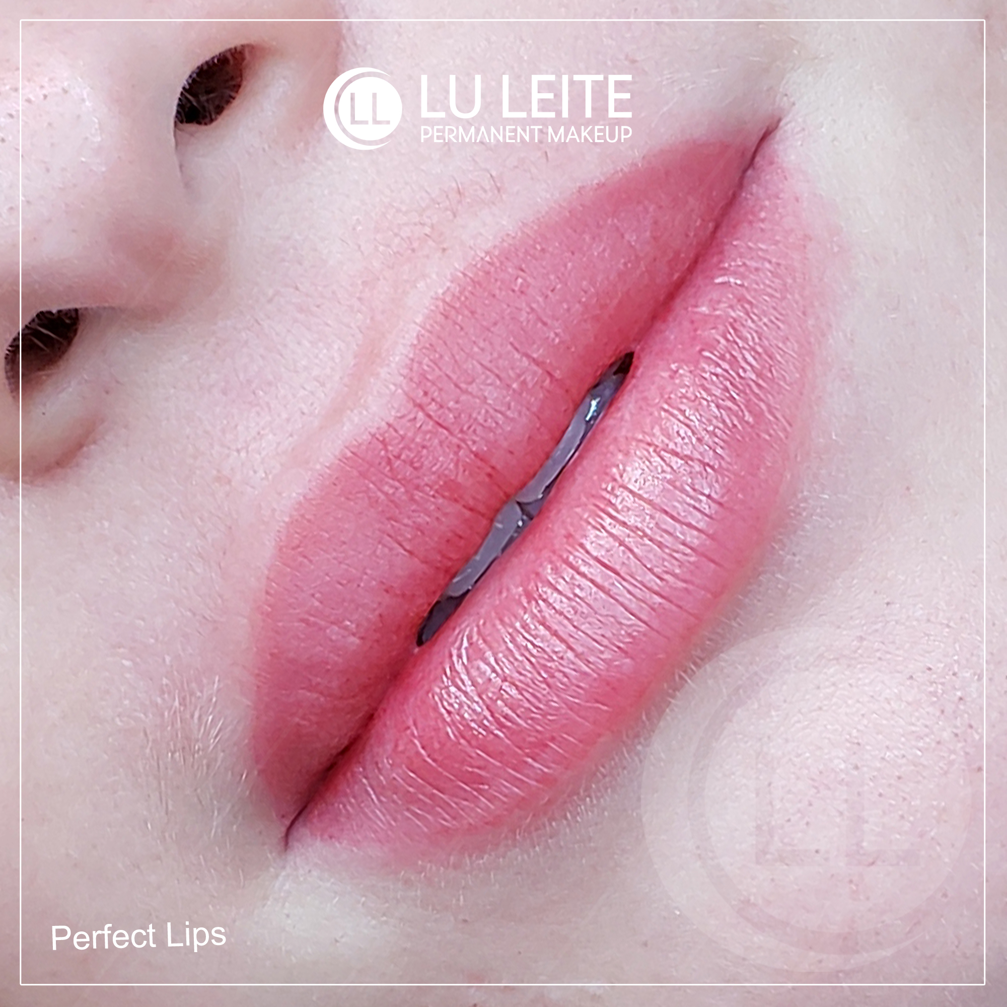 Micropigmenta&ccedil;&atilde;o labial