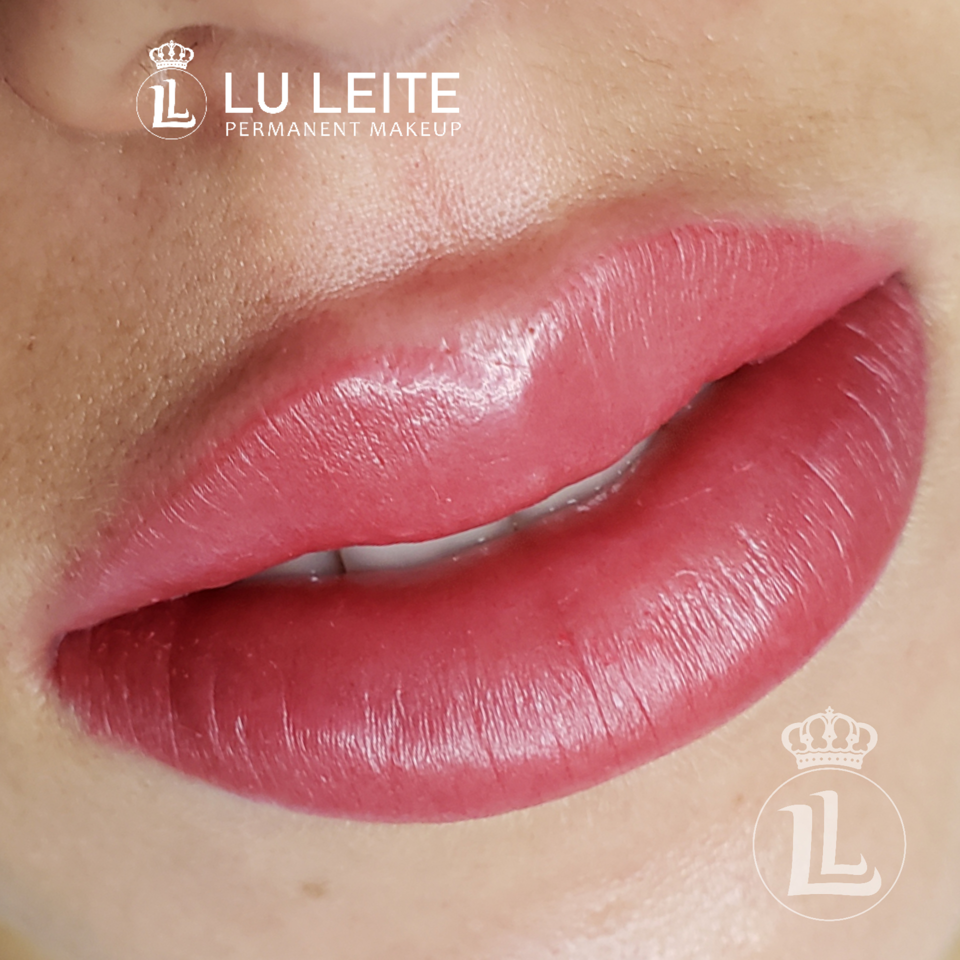 Micropigmenta&ccedil;&atilde;o labial