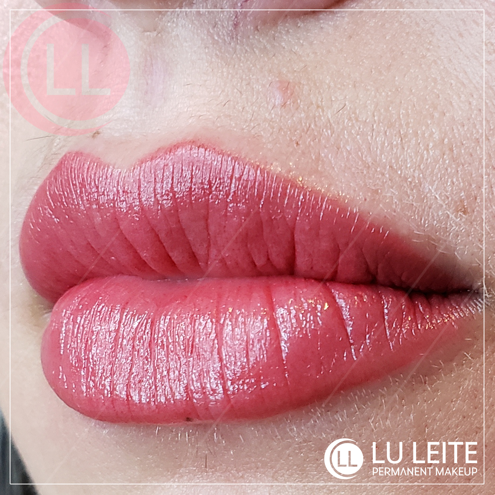 Micropigmenta&ccedil;&atilde;o labial